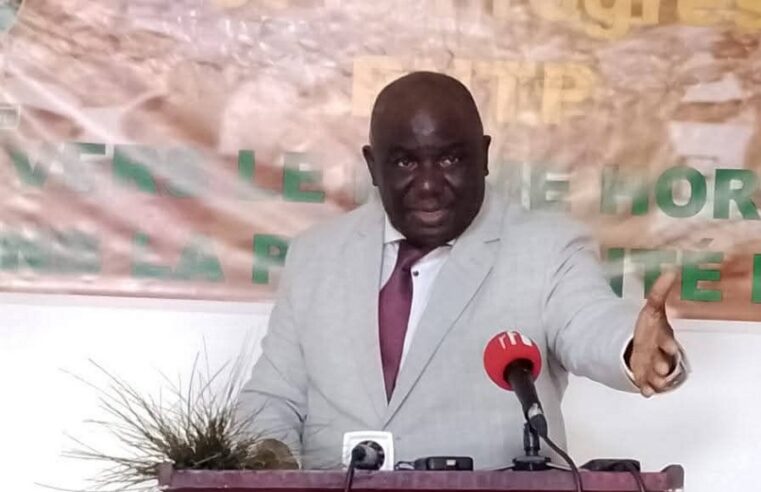 Gabon : quand les réformes politiques se heurtent aux lenteurs administratives