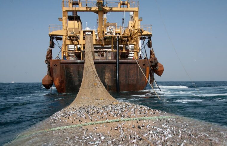 Le Gabon met fin à son accord de pêche avec l&rsquo;Union européenne