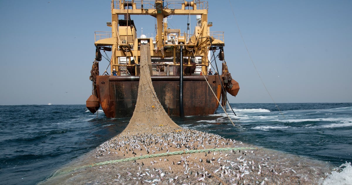 Le Gabon met fin à son accord de pêche avec l&rsquo;Union européenne