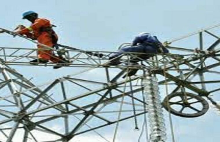 Vers une gestion privée du transport de l&rsquo;électricité au Cameroun