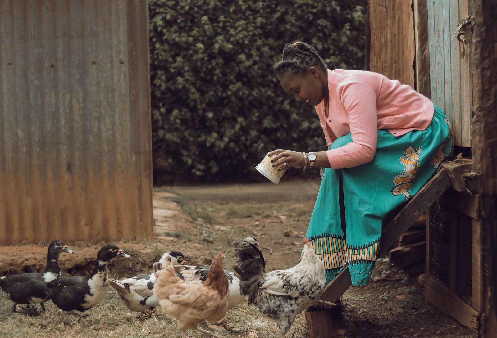 SONOCO ambitionne de révolutionner l&rsquo;aviculture gabonaise avec 15 millions de poulets annuellement