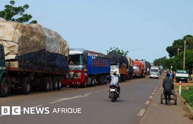 Ouverture prochaine de la frontière Bénin-Niger : un tournant historique