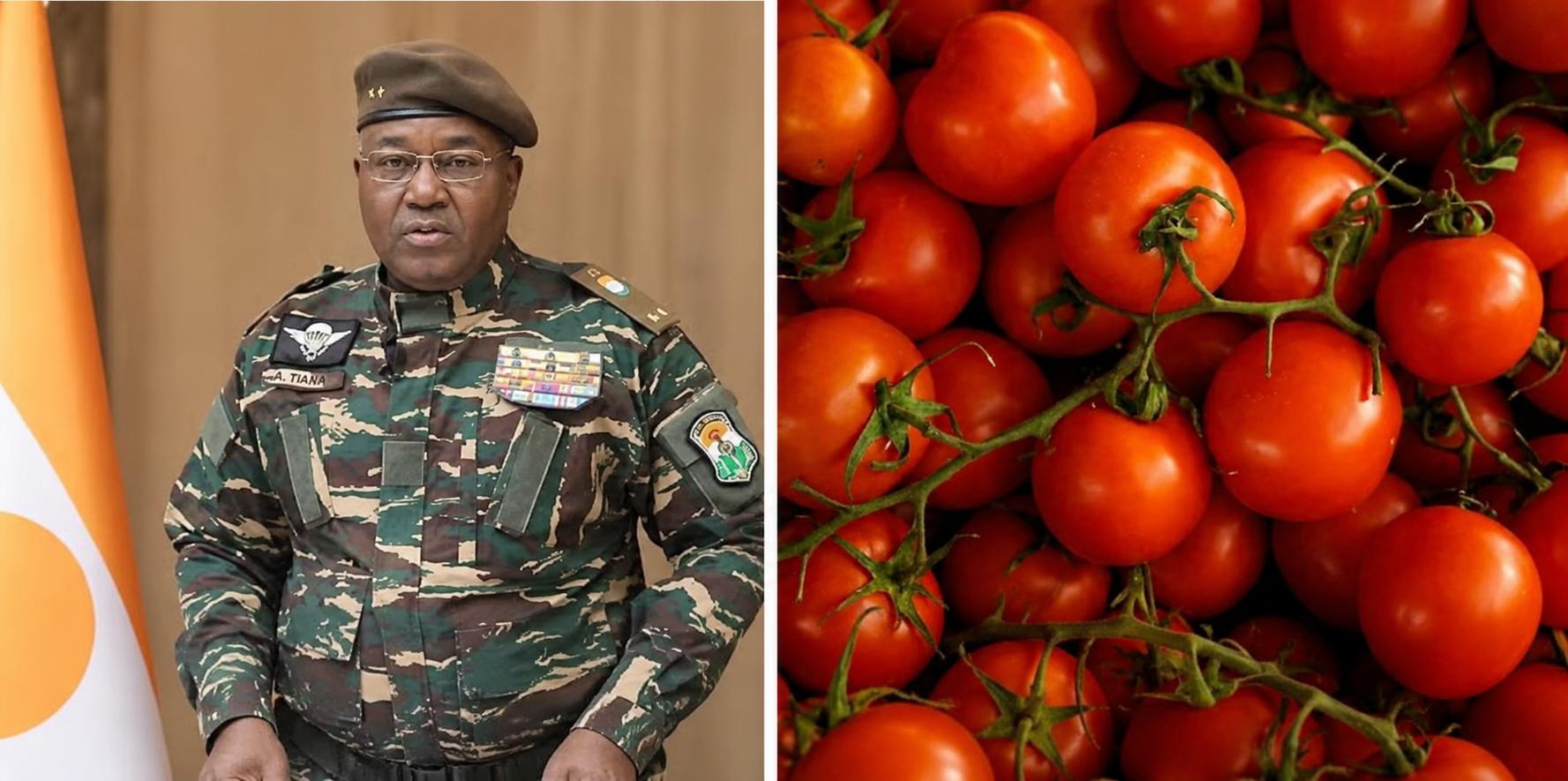 Le paradoxe de la filière tomate au Niger face aux financements européens