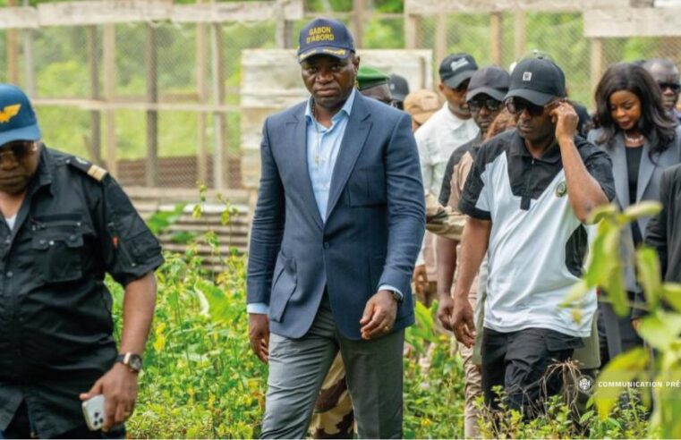 Gabon : vers une souveraineté alimentaire avec un plan de 25 milliards de FCFA