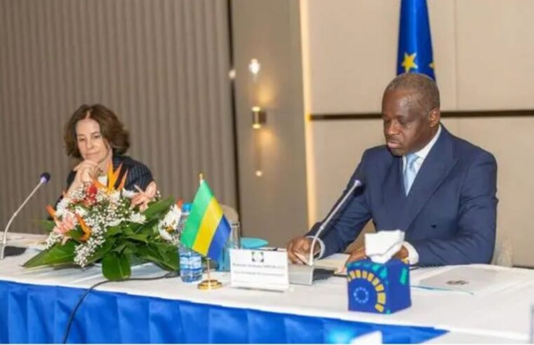 Gabon et union européenne : vers un partenariat d&rsquo;égal à égal
