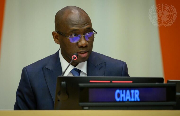 Le Sénégal à la tête d&rsquo;une commission clé de l&rsquo;ONU pour 2026 2027