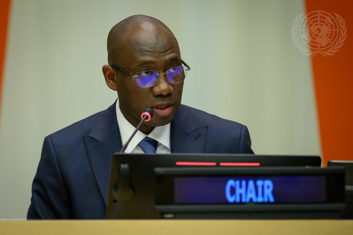 Le Sénégal à la tête d&rsquo;une commission clé de l&rsquo;ONU pour 2026 2027