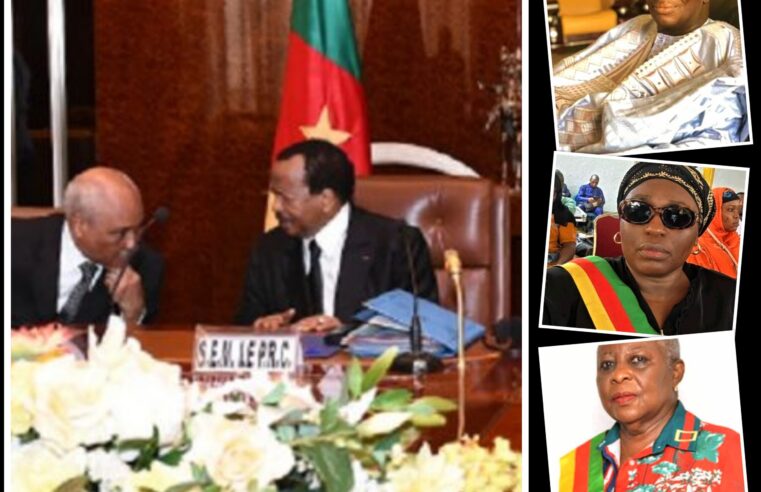 Nouveaux membres du conseil supérieur de la magistrature au Cameroun
