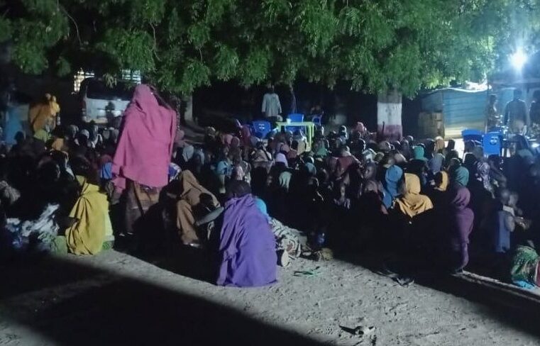 Libération massive de victimes de Boko Haram au Nigeria : que sait-on des rescapés ?