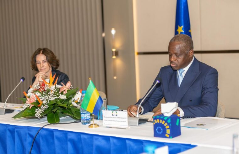 Gabon et union européenne : vers un partenariat ambitieux et durable