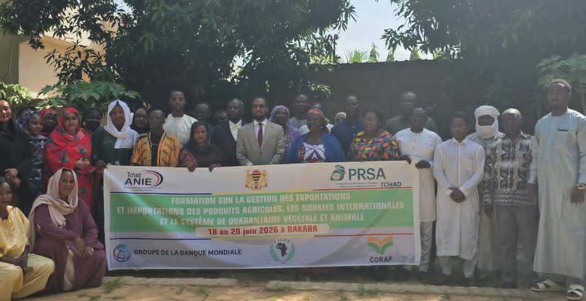 Formation sur la gestion des exportations agricoles au Tchad