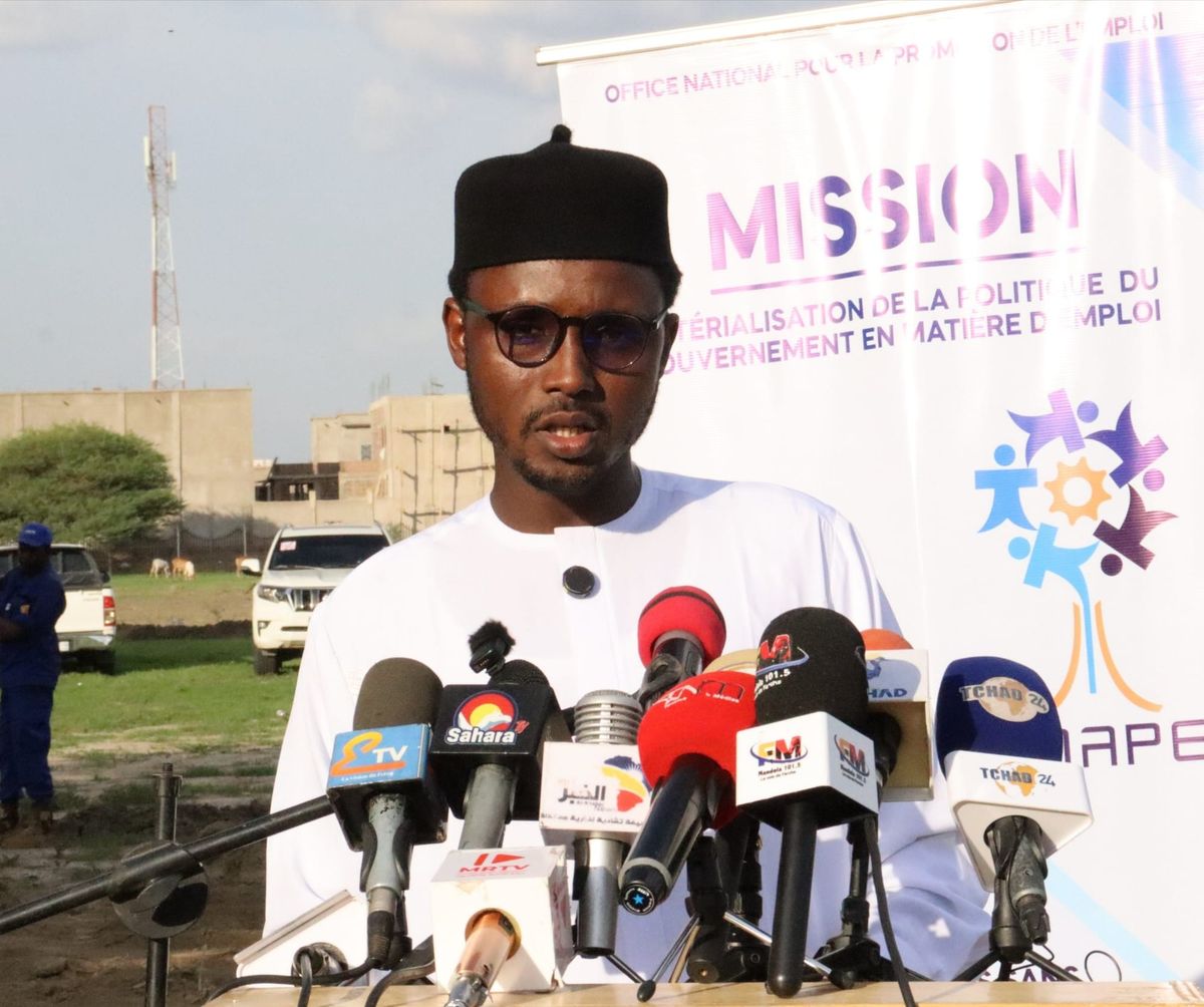 Tchad : 200 jeunes formés aux métiers verts à N&rsquo;Djamena pour un avenir durable