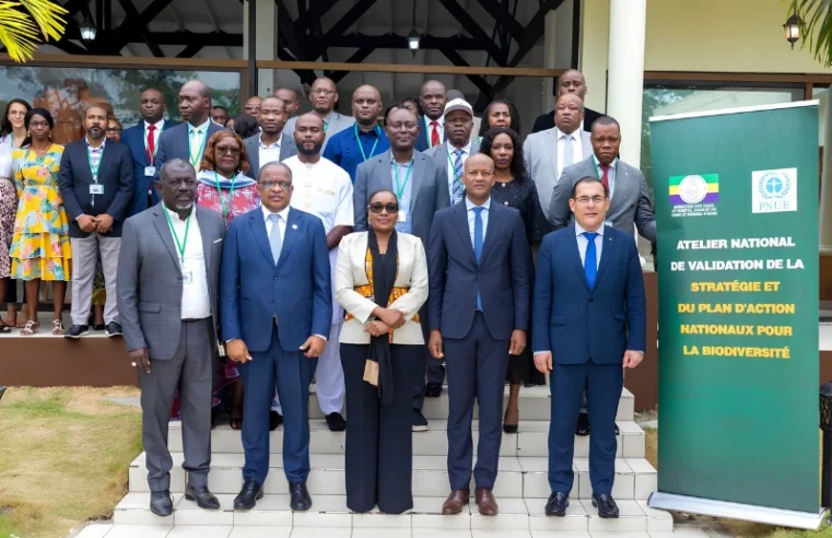 Gabon : une stratégie ambitieuse pour préserver sa biodiversité d’ici 2030