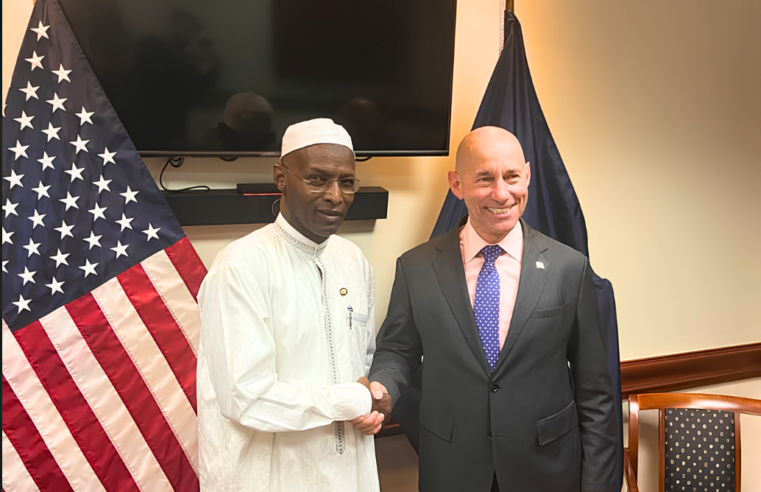 Renforcement des liens entre les États-Unis et le Tchad : sécurité et économie au cœur des échanges