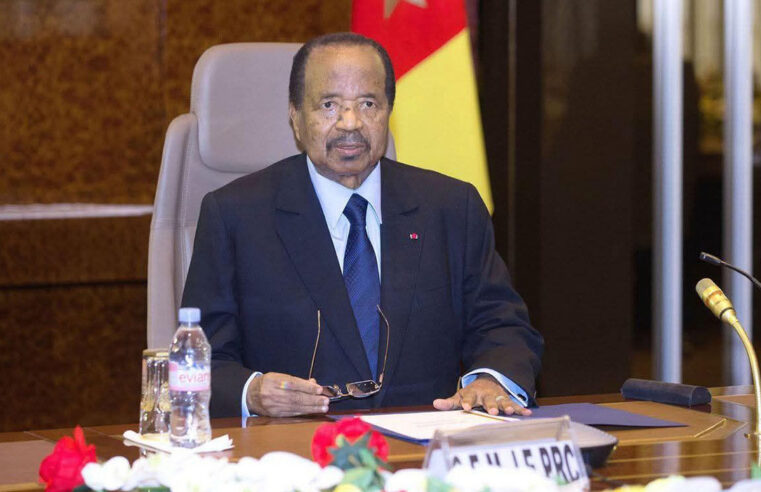 Nomination d&rsquo;un vice-président au Cameroun : les raisons de soutenir la vision de Paul Biya