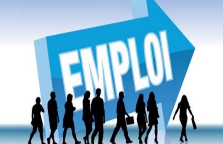 Les compétences clés pour réussir au marché du travail togolais en 2026