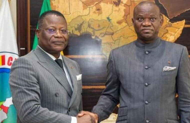 Gabon et Togo : vers une coopération renforcée des institutions constitutionnelles