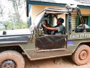 Centrafrique : les opérateurs forestiers dans le collimateur pour leurs méthodes et leurs impayés