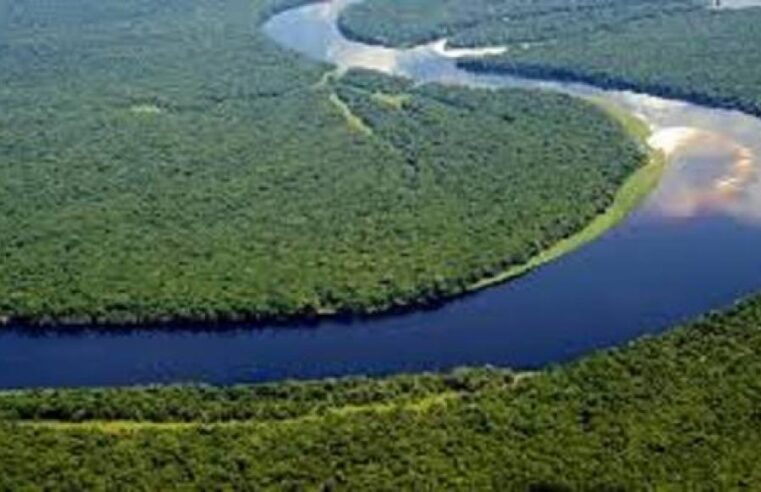 Un pacte sur l’or bleu congolais à N’Djamena ?