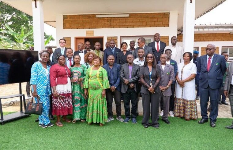 Au cœur du Gabon, Djoutou mise sur le miel pour son développement local