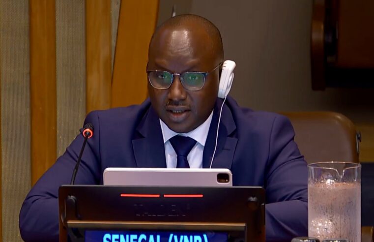 Le Sénégal dresse un bilan décennal des objectifs de développement durable à l&rsquo;ONU