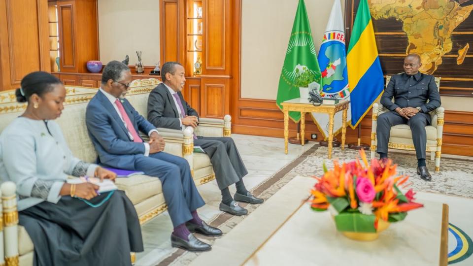 L&rsquo;expérience gabonaise en transition politique : une feuille de route pour Madagascar