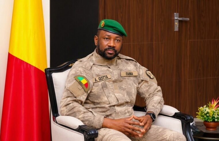 Mali : la déchéance de nationalité pour les binationaux, une arme politique à Bamako