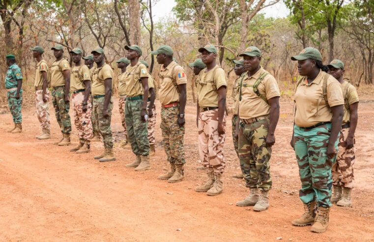 Tchad : les agents des eaux et forêts n&rsquo;ont plus le droit aux tenues militaires