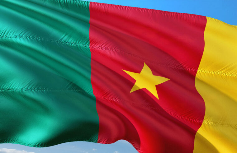 Le Cameroun face à la vague d&rsquo;ouverture des frontières en Afrique : une analyse approfondie