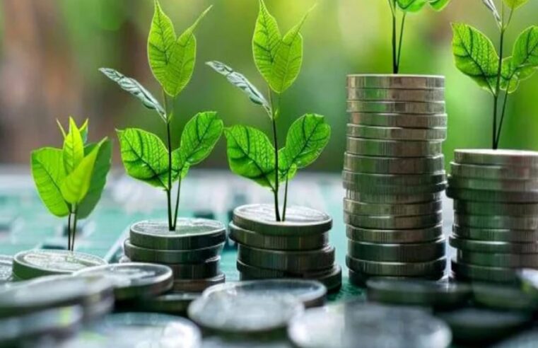 Maroc: une taxonomie verte pour accélérer la transition écologique nationale