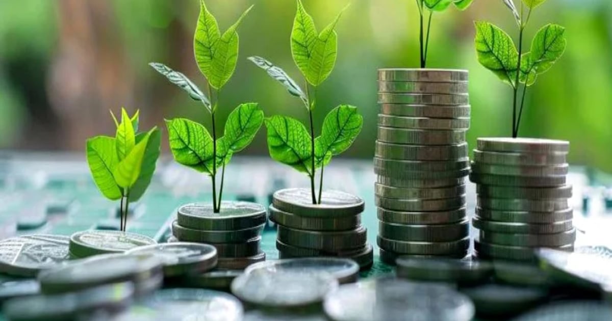 Maroc: une taxonomie verte pour accélérer la transition écologique nationale
