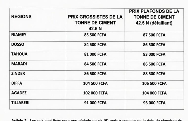 Niger : le plafonnement des prix du ciment, une mesure temporaire aux limites évidentes