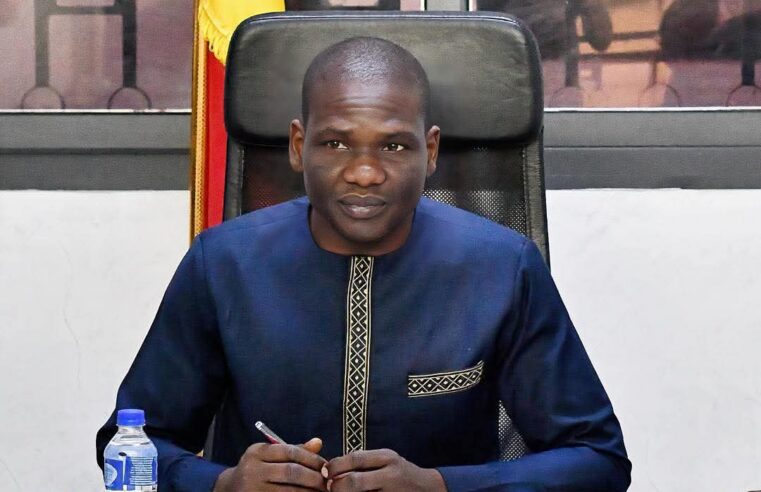 Tchad : suspension immédiate de quatre marques de yaourt non conformes aux normes sanitaires