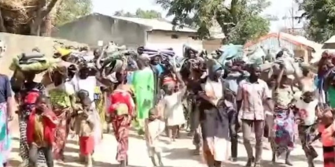 Mayo-tsanaga : le calvaire silencieux des populations face à boko haram