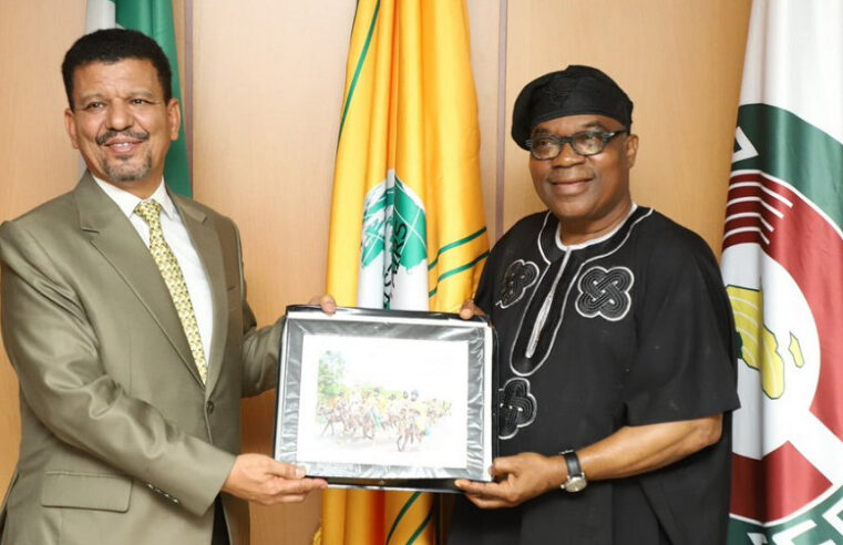 Nigeria : un soutien indéfectible à la RASD face aux ambitions du Maroc