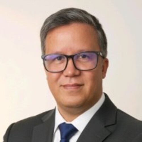 expert en gouvernance it et cybersécurité