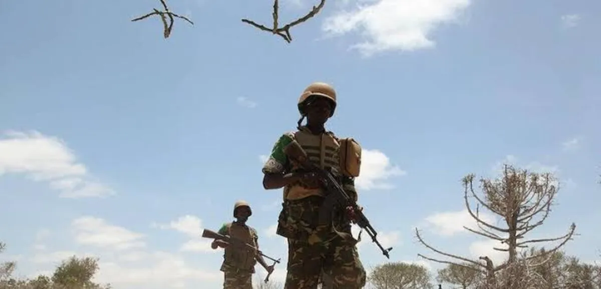 Mali : des frappes de l'Africa Corps font huit morts civils selon une ONG