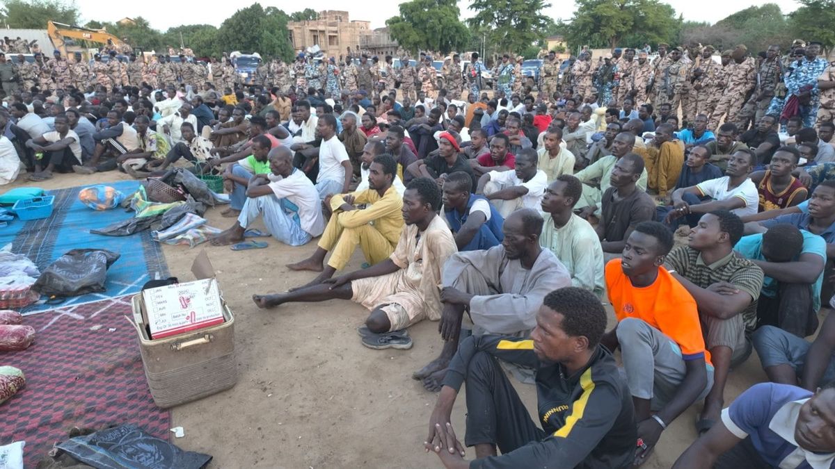 N’Djamena : une opération d’envergure contre la criminalité débouche sur 252 arrestations