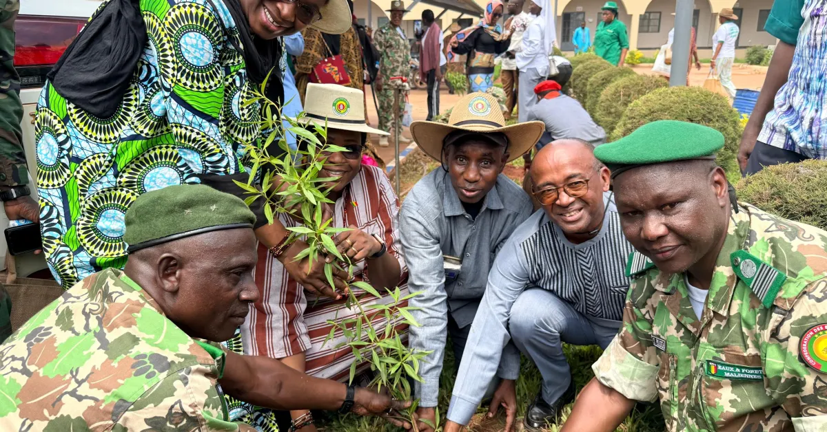 Mali : l&rsquo;unesco s&rsquo;engage pour une campagne de reboisement historique