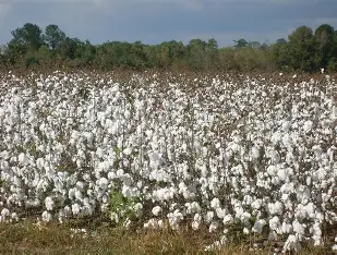 Bénin : une avancée majeure pour la sécurité des agriculteurs